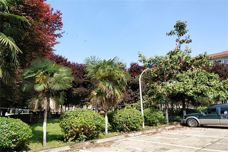 龙都花园套三楼房出售3室2厅1卫103㎡