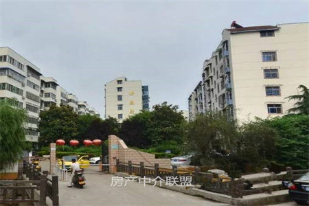 实验小学铁西小区经典两室客厅向阳养老过渡